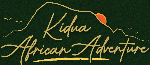 Home: Kidua African Adventure.com